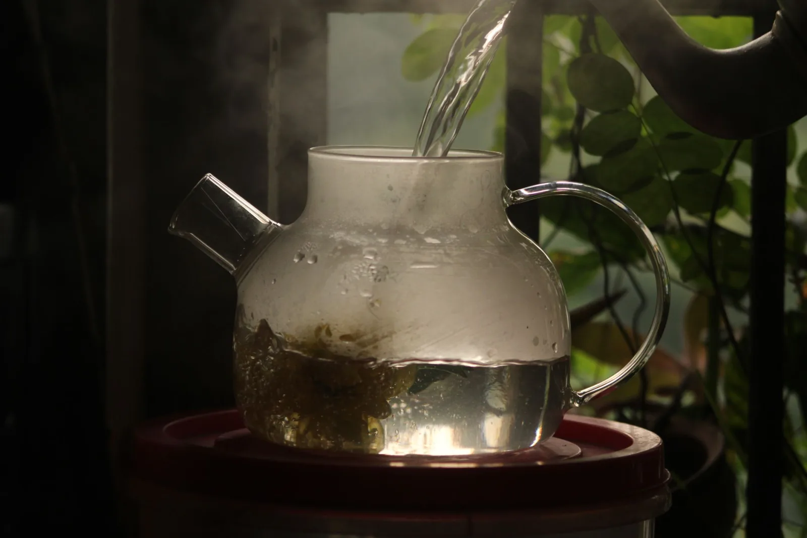 Théière en verre transparente dans laquelle on verse de l'eau chaude